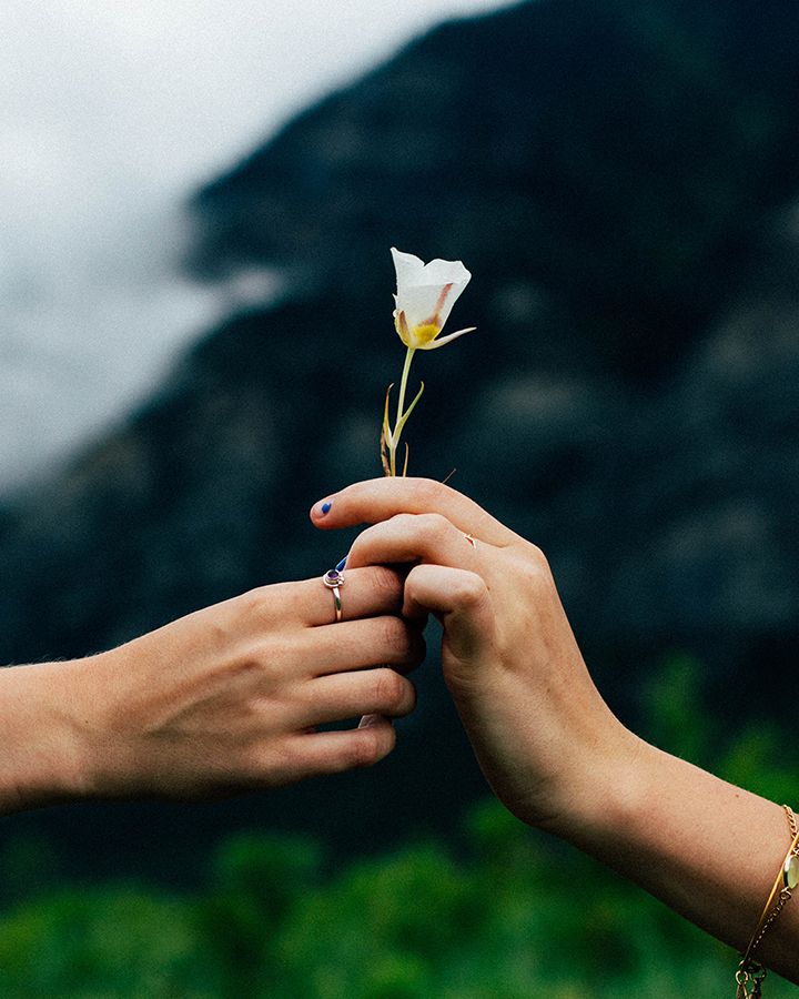 Altruism’s Potential