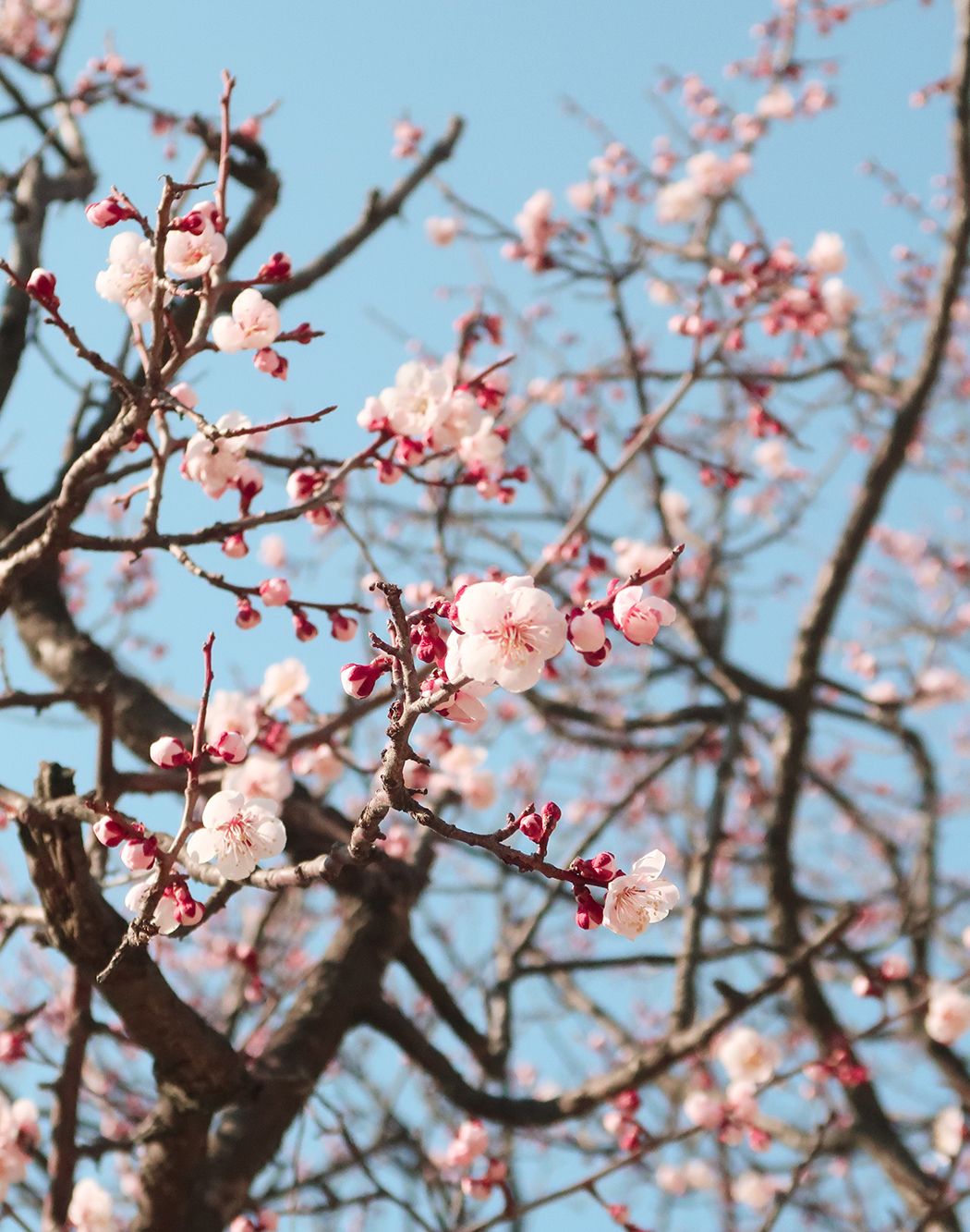 April draws to a close and spring has finally sprung…