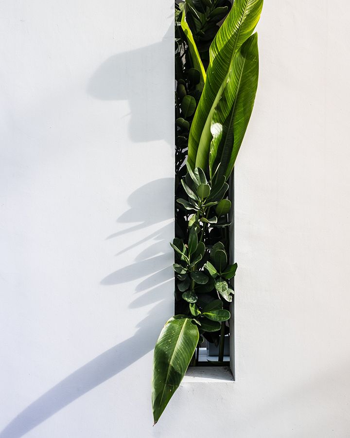 Harnessing Nature