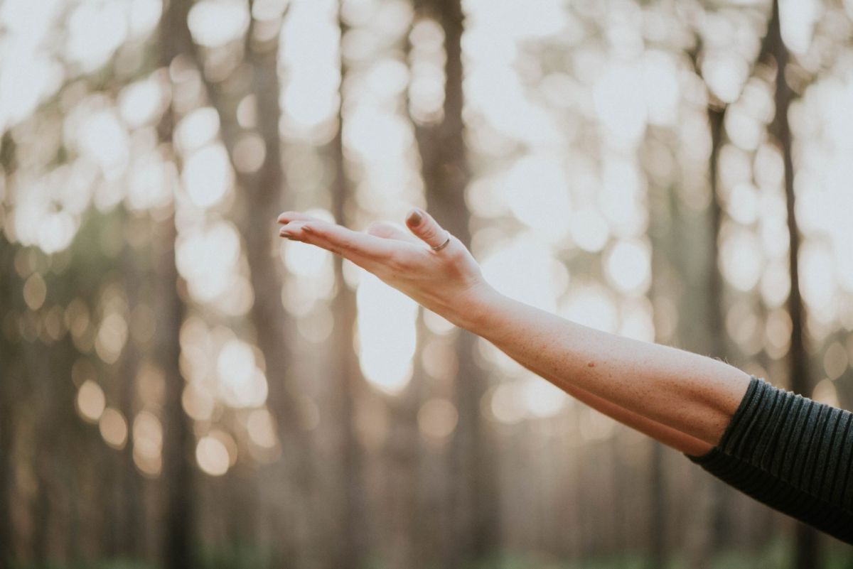 Emerging trends for beauty brands within the wellness industry