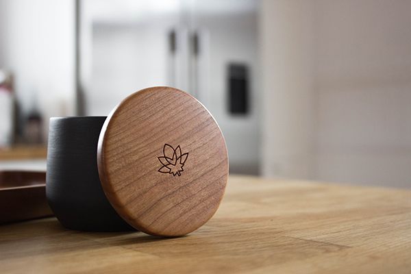 THE CANNABIS OPPORTUNITY