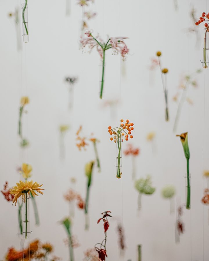 The Scent of Memories