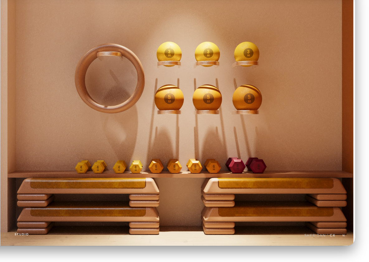 Gilded weights and apparatus display in the Potência Leblon studio